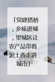 党建搭桥，乡味进城，望城区让农产品带着泥土香走进城市